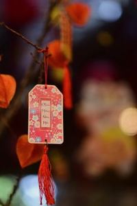 phỏm di động Kubet